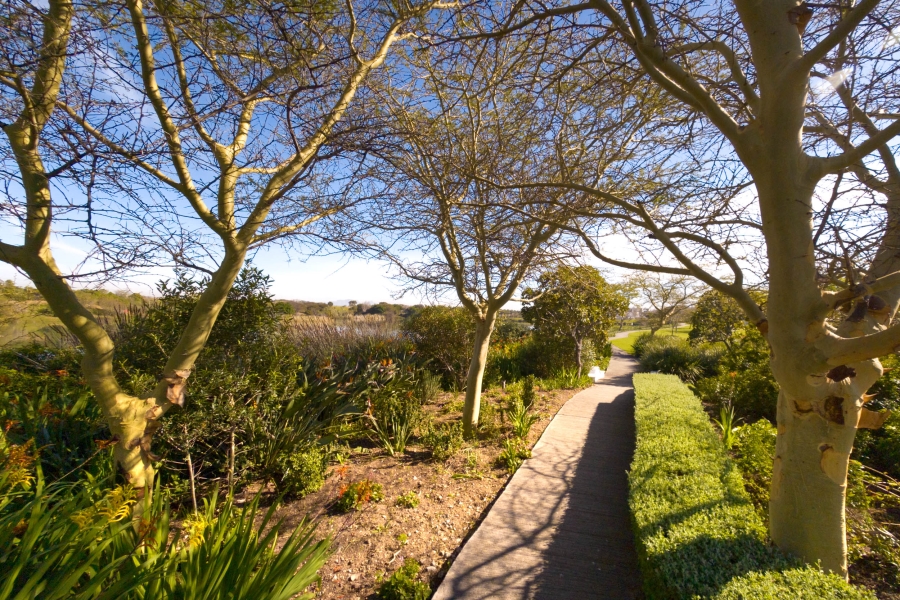3 Bedroom Property for Sale in Croydon Olive Estate Western Cape